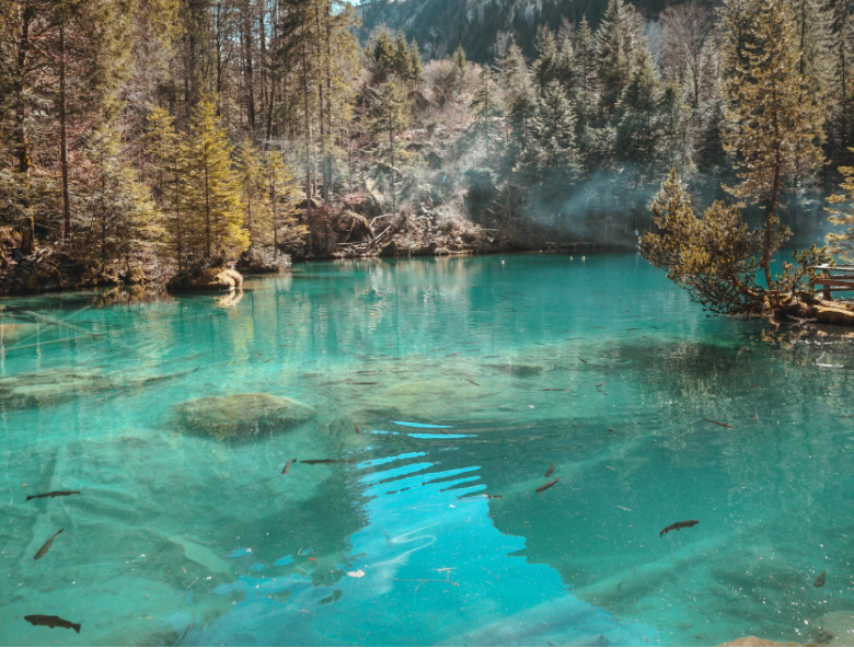 1649406251788648.png 微信截圖_20220401133602.png