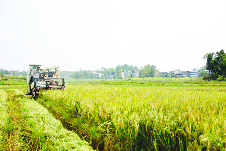 1693881355150740.jpeg 農(nóng)業(yè).jpeg