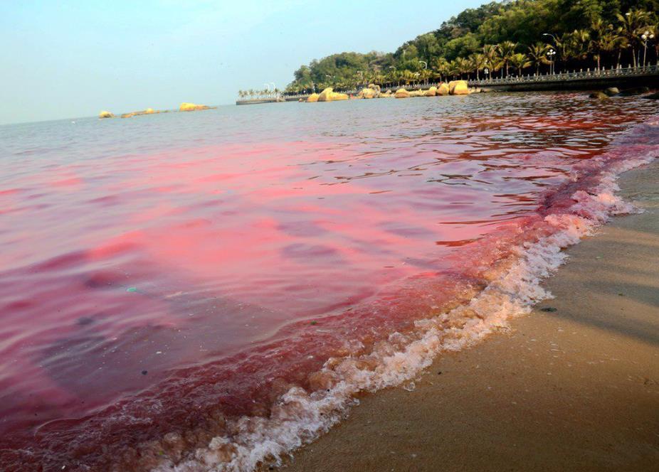 1694052907806637.jpg 1694052907806637.jpg