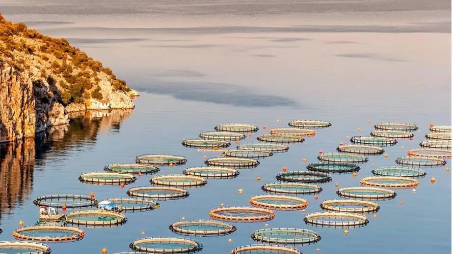 1720063000934737.jpeg 1720063000934737.jpeg