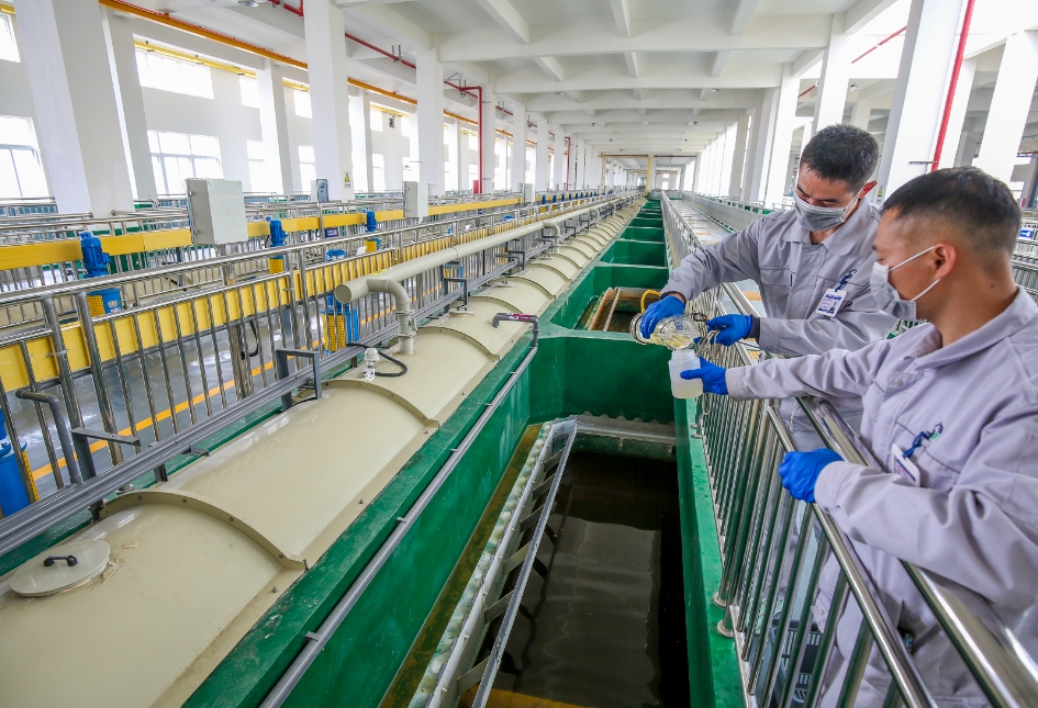 1745042480815575.jpg 1745042480815575.jpg