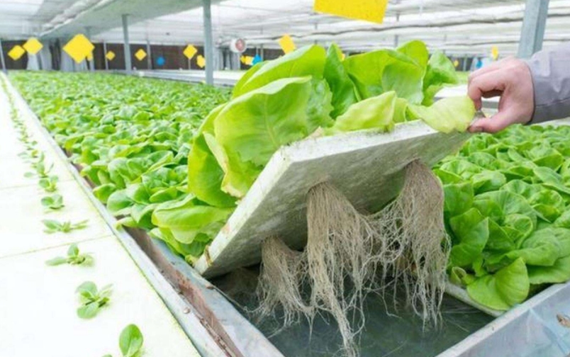 1762912571186940.jpg 1762912571186940.jpg